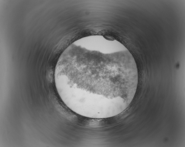 X0000115590090200912011513