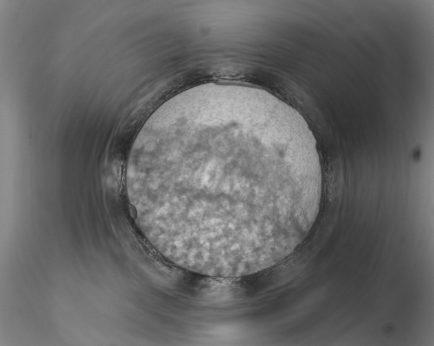 X0000115590093200912011513