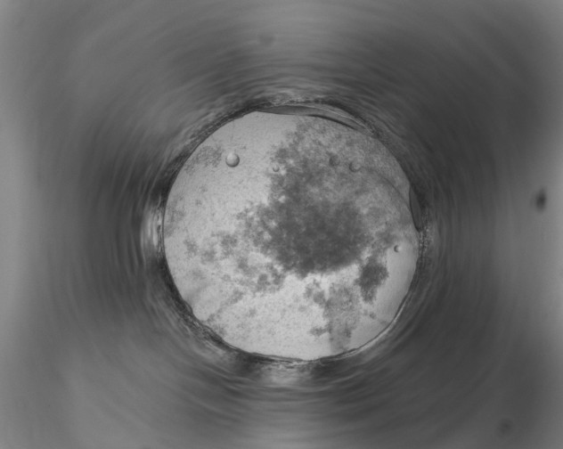 X0000115590094200912011513
