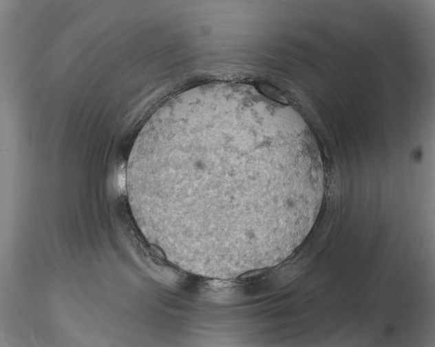 X0000115590095200912011513