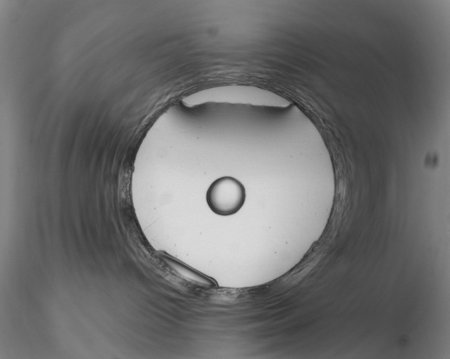 X0000115590096200912011513