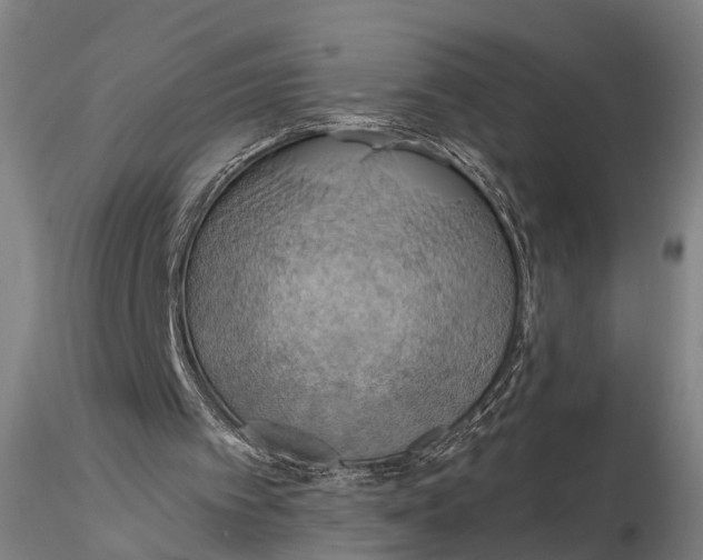 X0000115590097200912011513