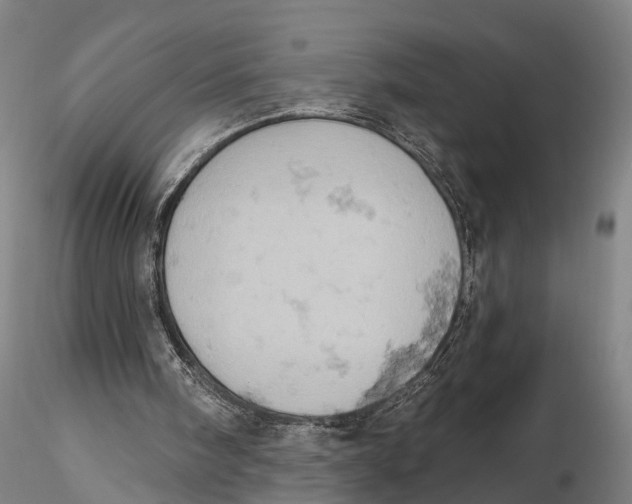 X0000115590098200912011513