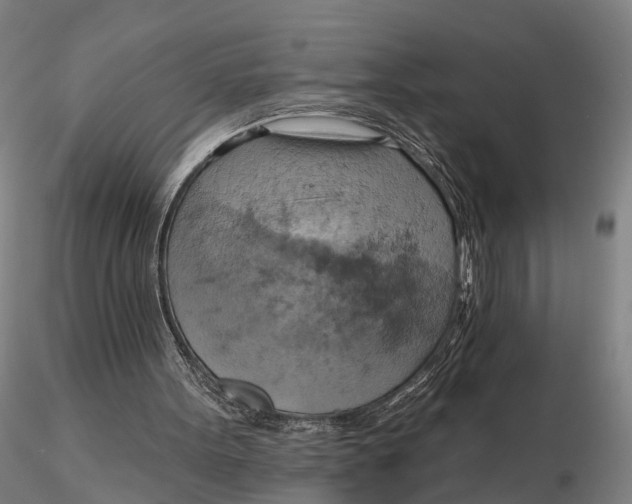 X0000115590099200912011513