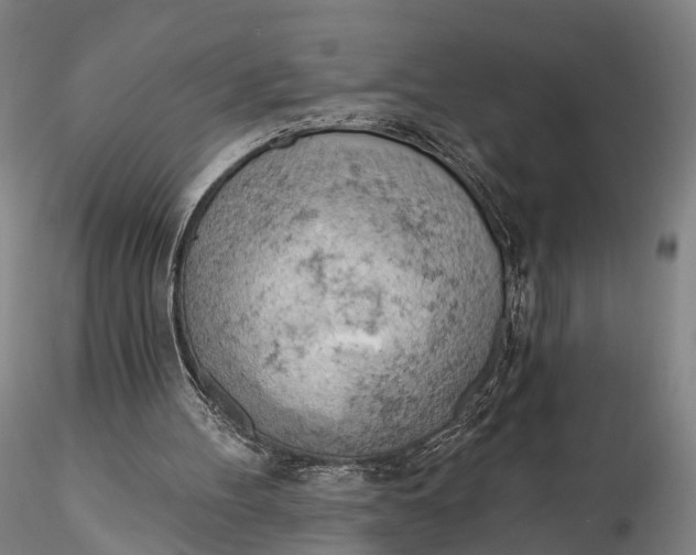X0000115590100200912011513