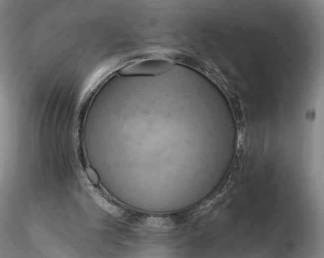 X0000115590101200912011513
