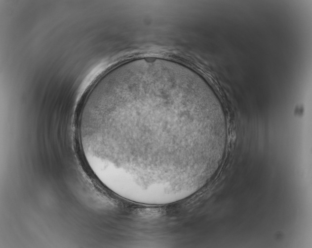 X0000115590102200912011513