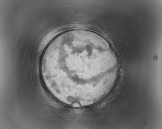 X0000115590103200912011513