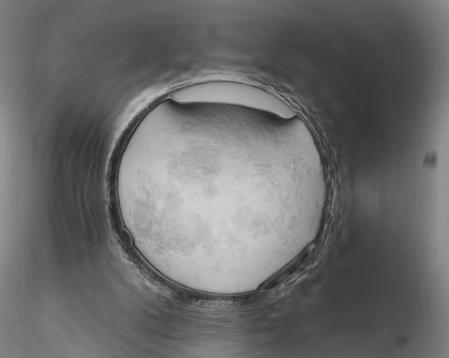 X0000115590104200912011513