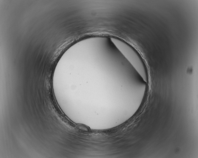 X0000115590105200912011512