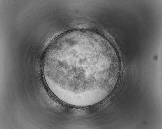 X0000115590106200912011512