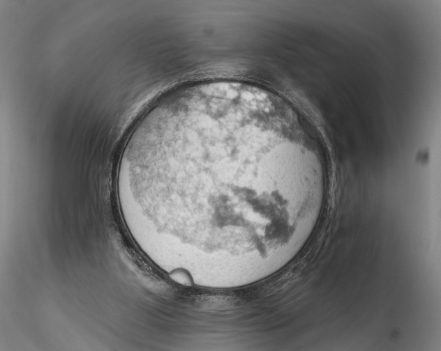 X0000115590107200912011512
