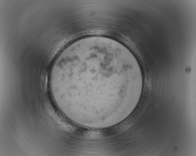 X0000115590110200912011512