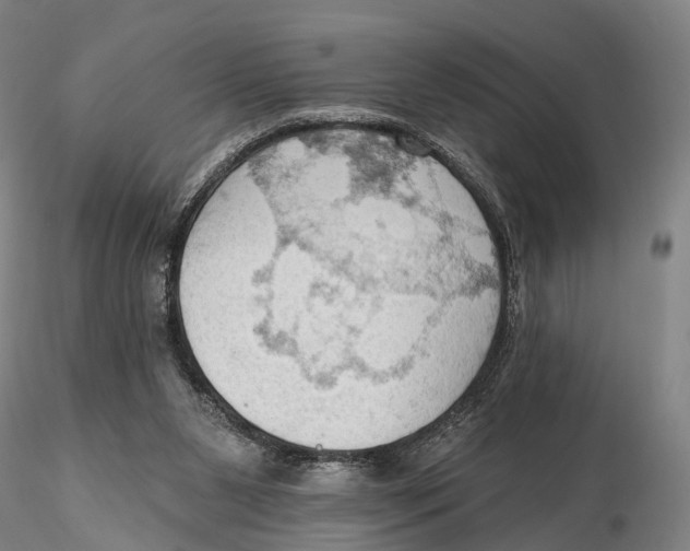 X0000115590111200912011512