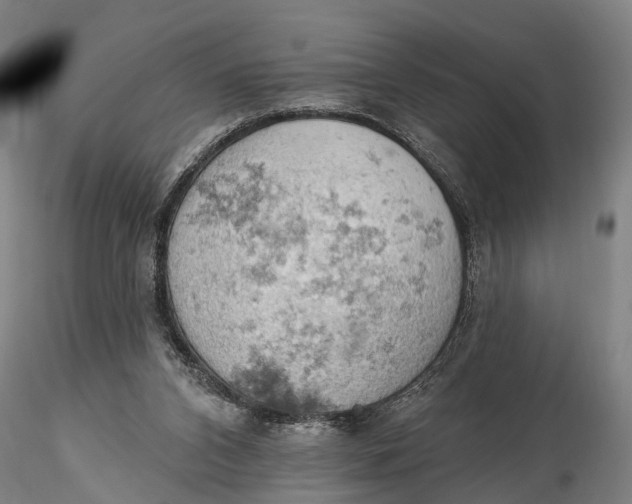 X0000115590112200912011512