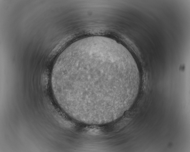 X0000115590113200912011512