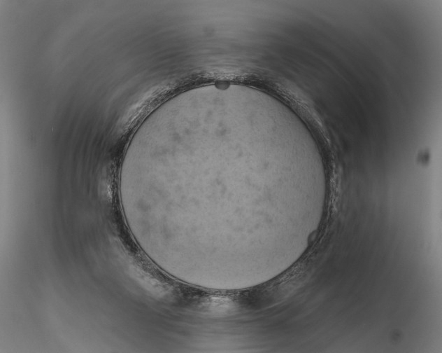 X0000115590114200912011512