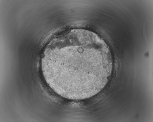 X0000115590115200912011512