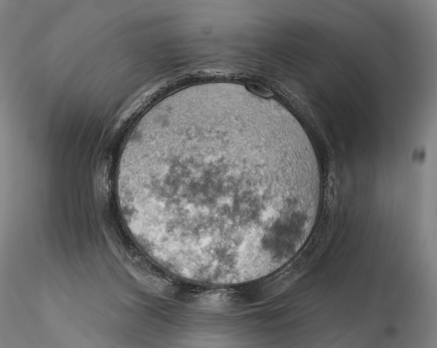 X0000115590116200912011512