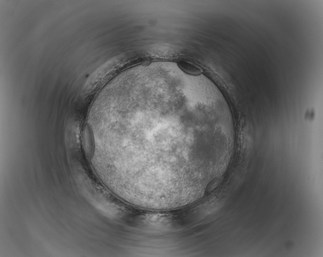 X0000115590117200912011512