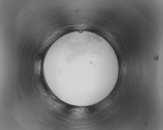 X0000115590118200912011512