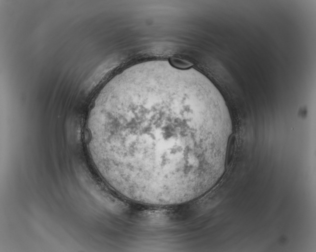 X0000115590120200912011512