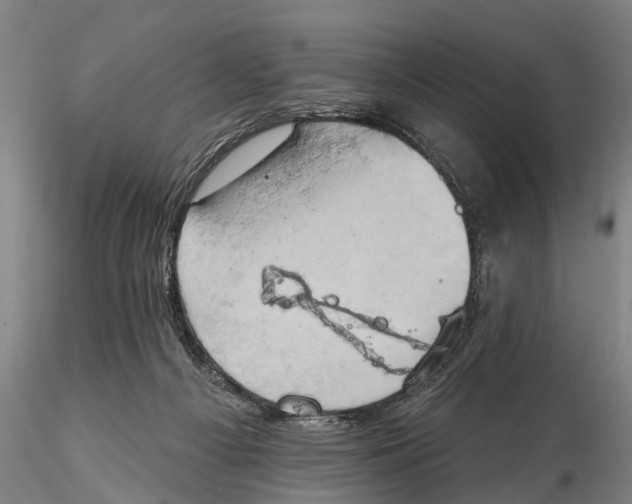 X0000115590121200912011512