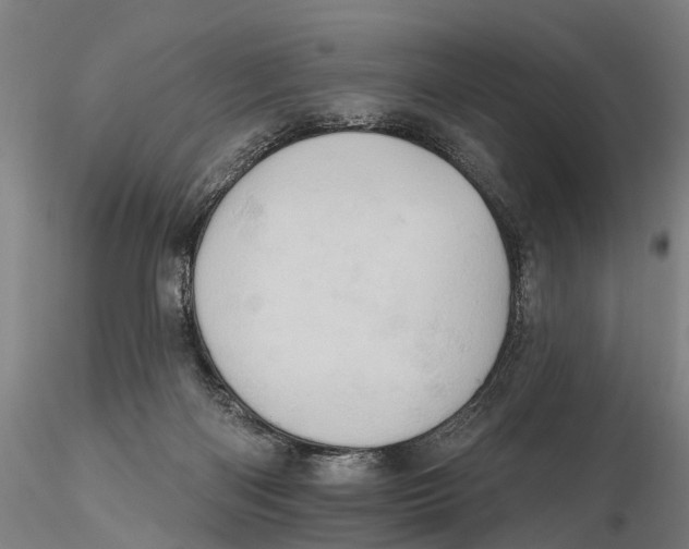 X0000115590122200912011512
