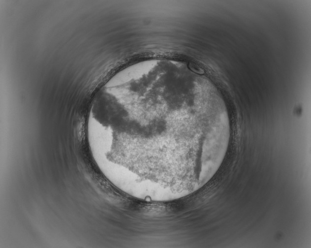 X0000115590123200912011512