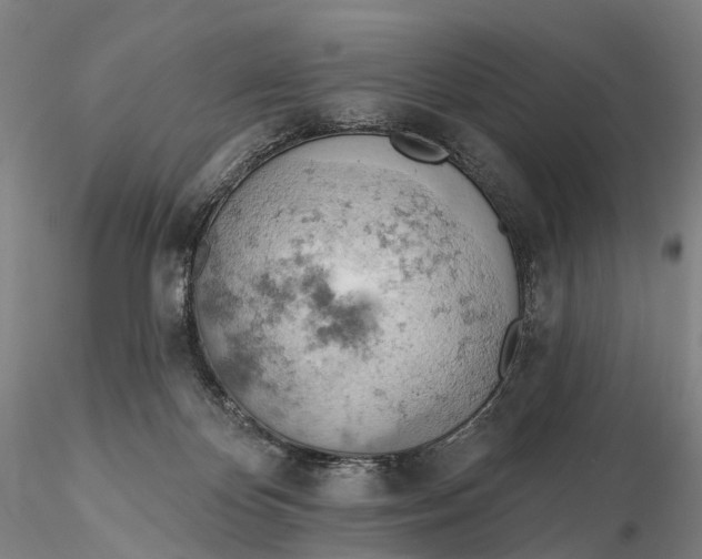 X0000115590124200912011512