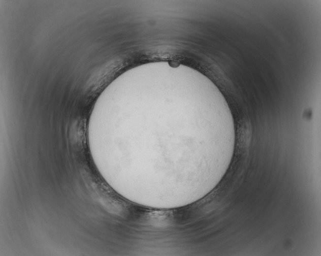 X0000115590126200912011512