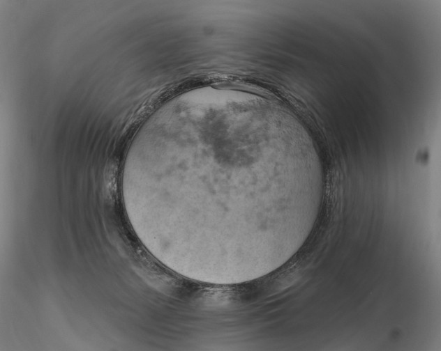 X0000115590127200912011512