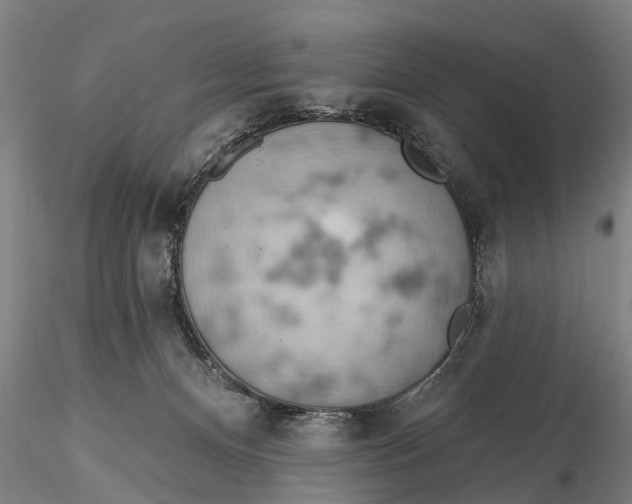 X0000115590128200912011512