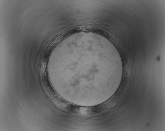 X0000115590130200912011512