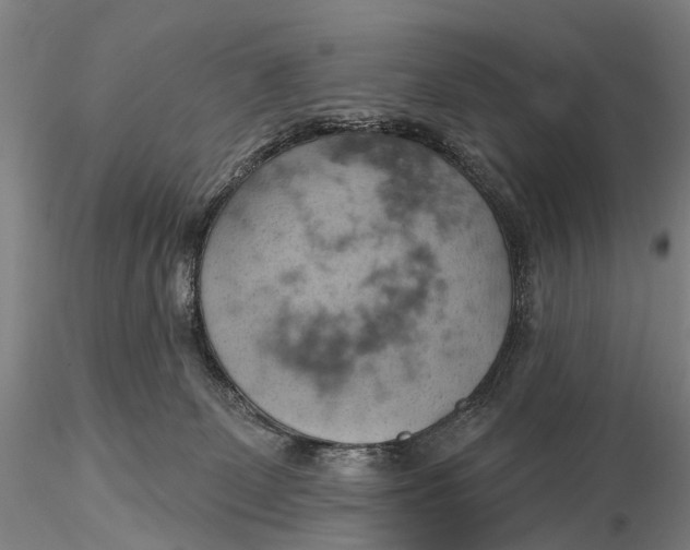 X0000115590131200912011512