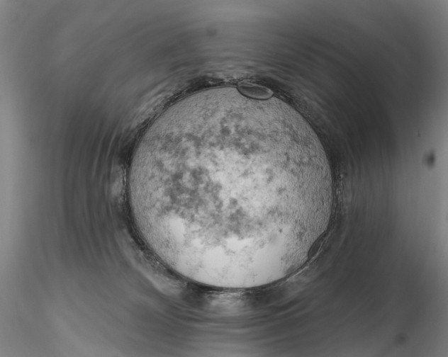 X0000115590132200912011512