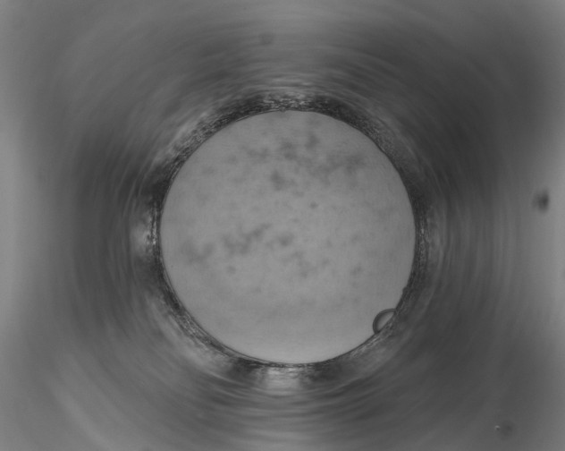 X0000115590134200912011512