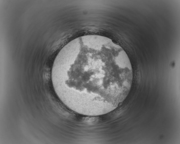X0000115590135200912011512