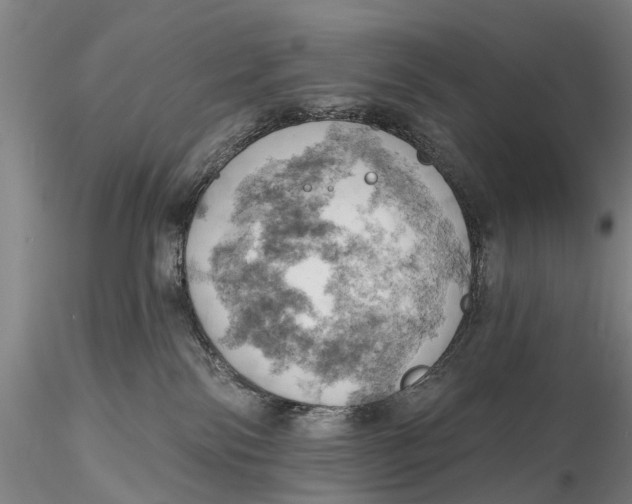 X0000115590138200912011512