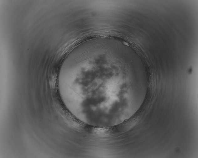 X0000115590139200912011512
