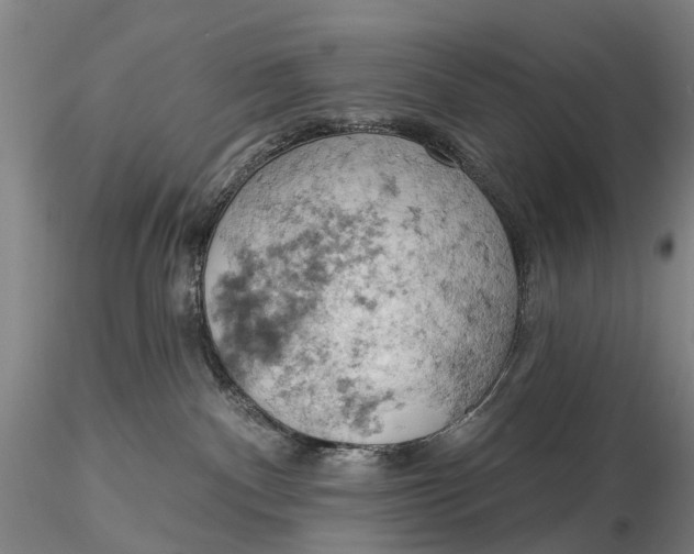 X0000115590140200912011512