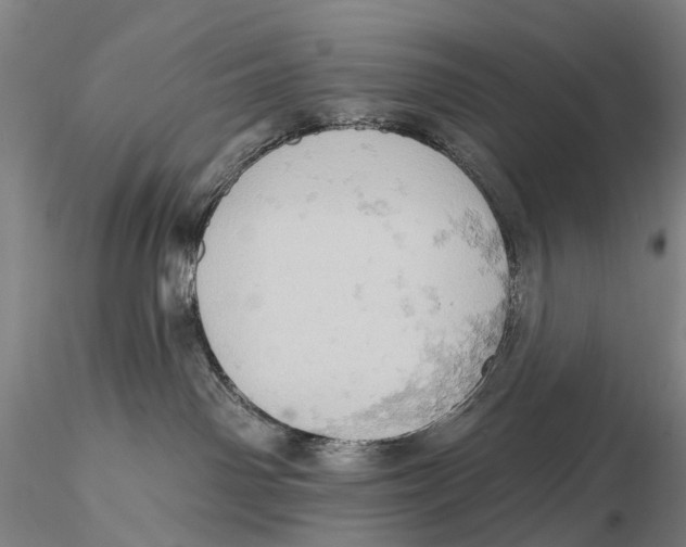 X0000115590142200912011512