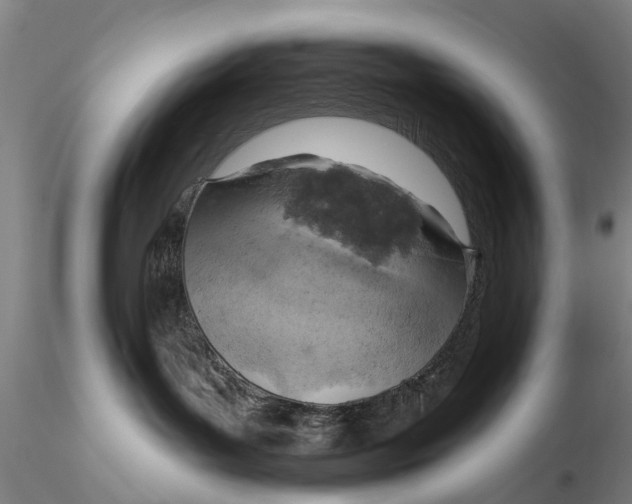 X0000115590143200912011512
