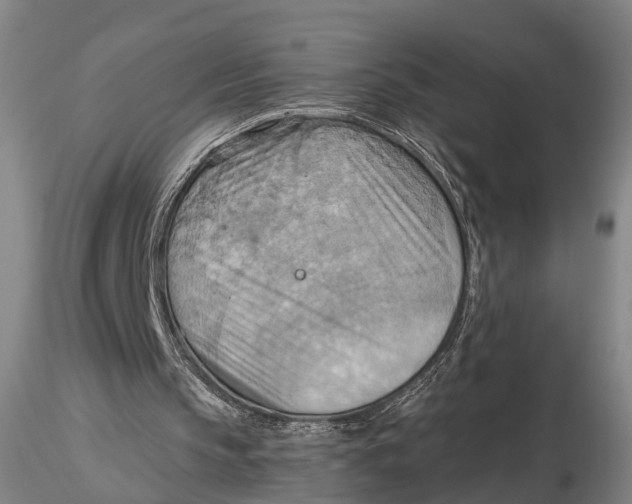 X0000115590145200912011511