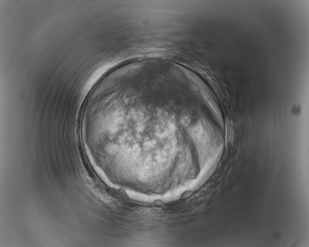 X0000115590147200912011511
