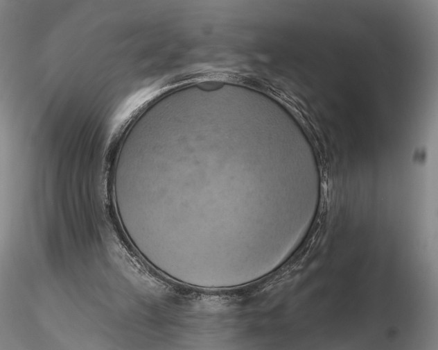 X0000115590149200912011511