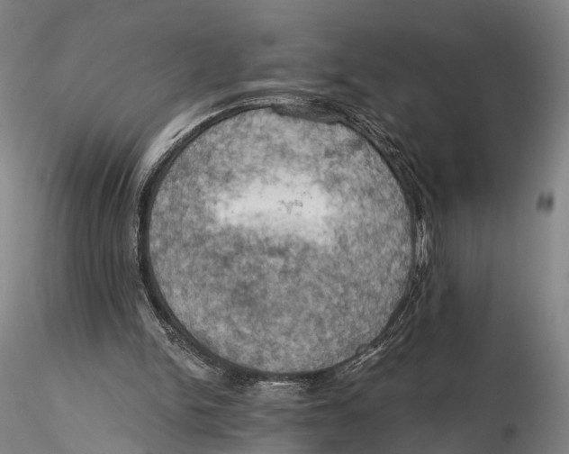 X0000115590150200912011511
