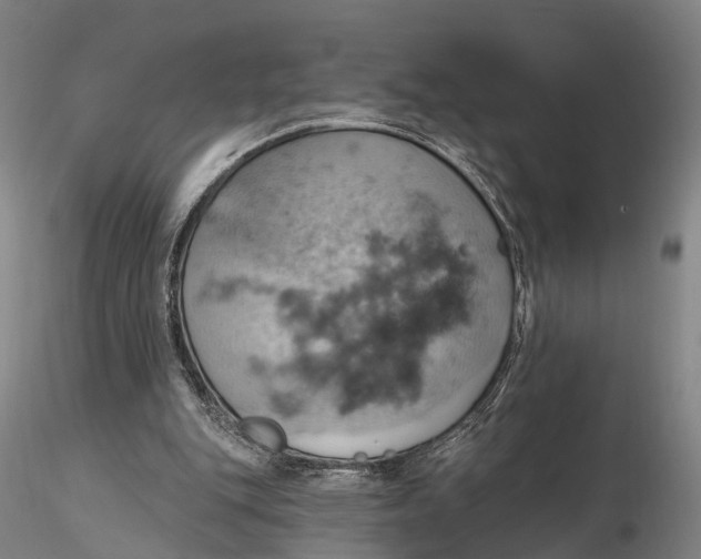 X0000115590151200912011511