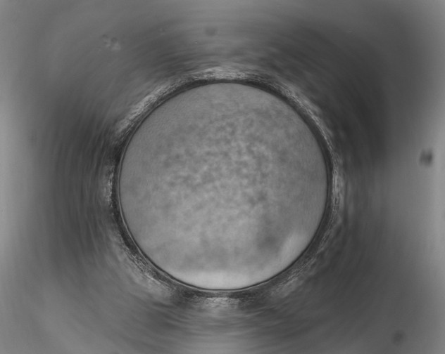 X0000115590153200912011511