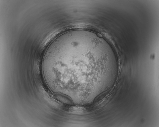 X0000115590154200912011511